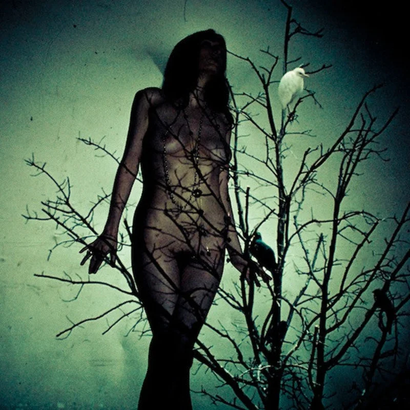 The Atlas Moth: An Ache For The Distance CD