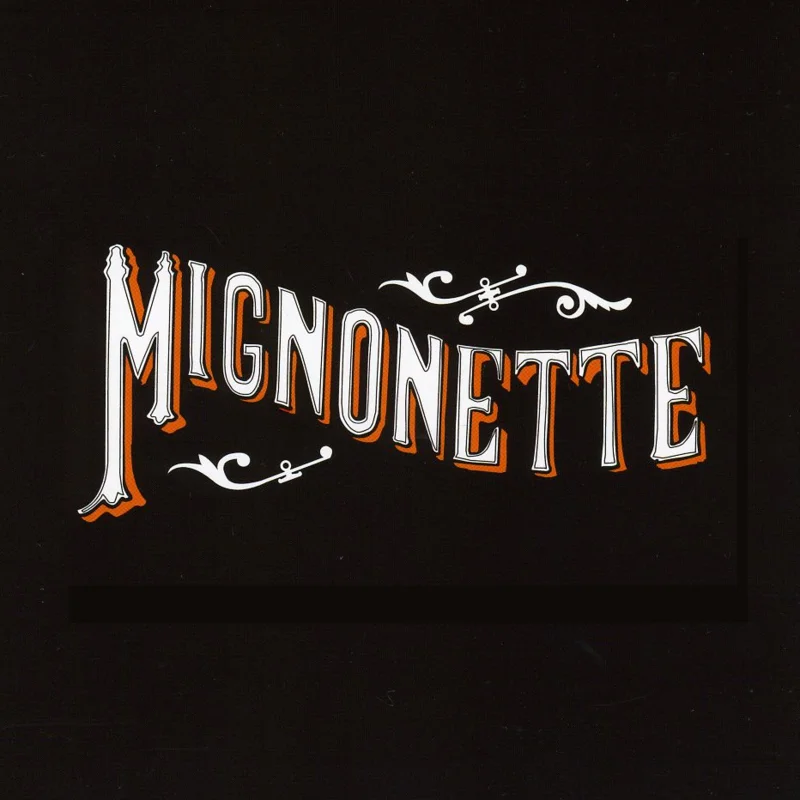 The Avett Brothers: Mignonette 12"
