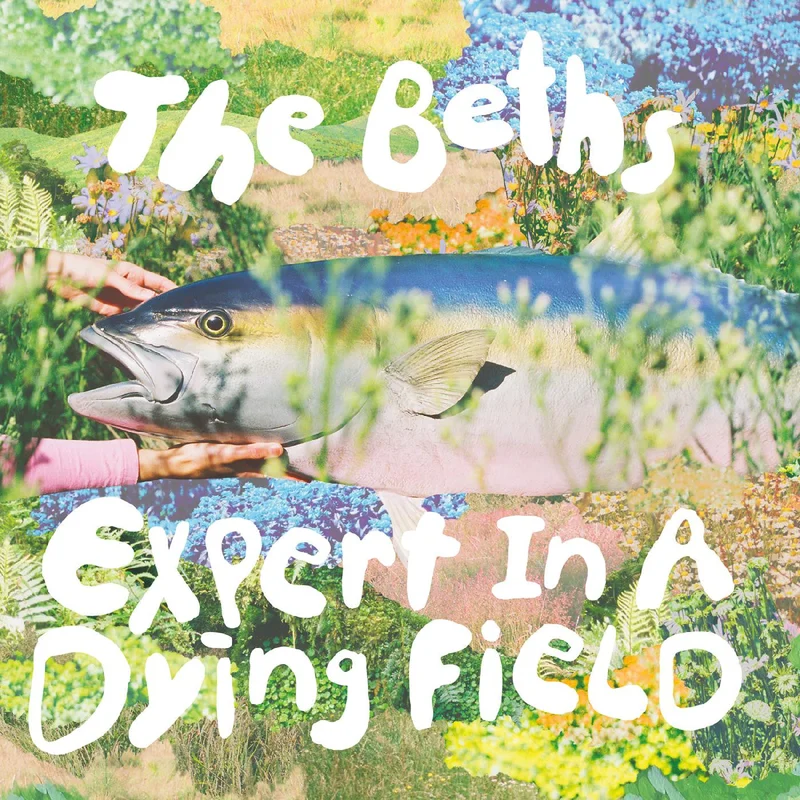 THE BETHS 'EXPERT IN A DYING FIELD' LP - BONE