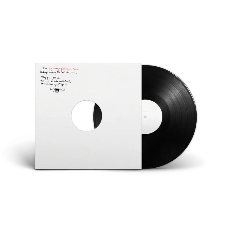 The Boys of Dungeon Lane- Third Man Records White Label LP