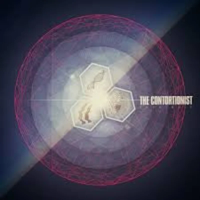 The Contortionist: Intrinsic 2x12"
