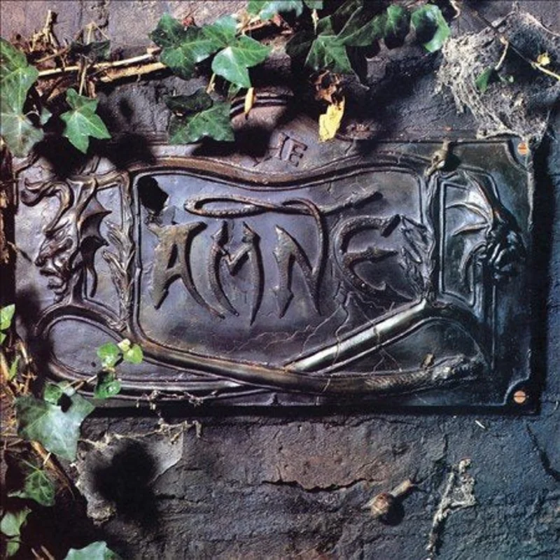 The Damned: Black Album 12" (UK Version)