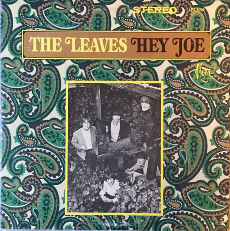 The Leaves: Hey Joe 12"