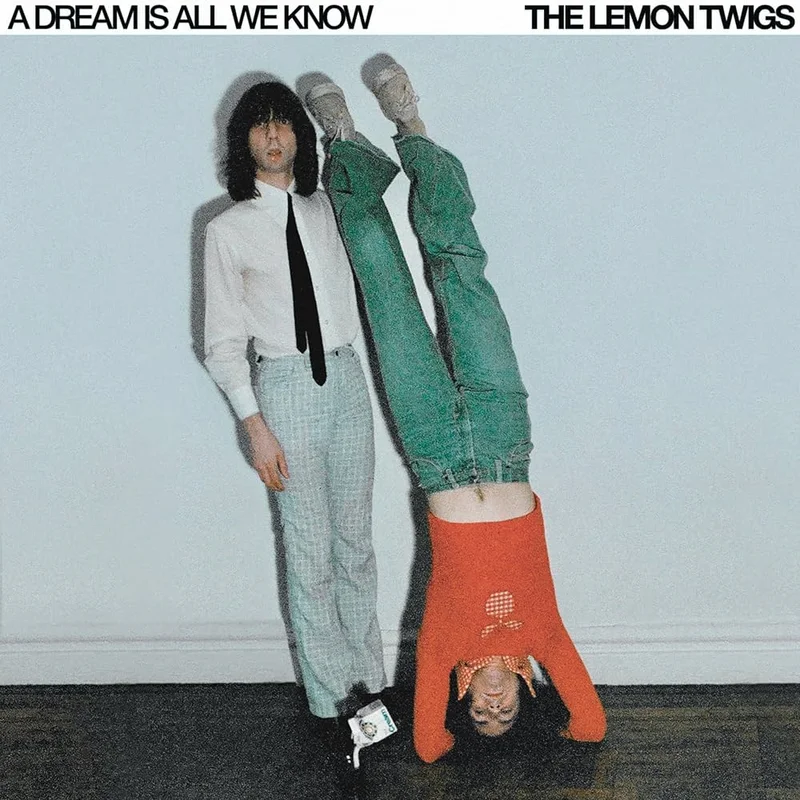 THE LEMON TWIGS - A DREAM IS ALL WE KNOW - VINYL LP