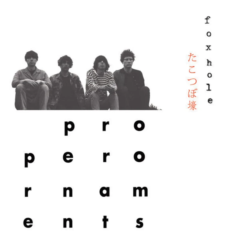The Proper Ornaments: Foxhole 12"
