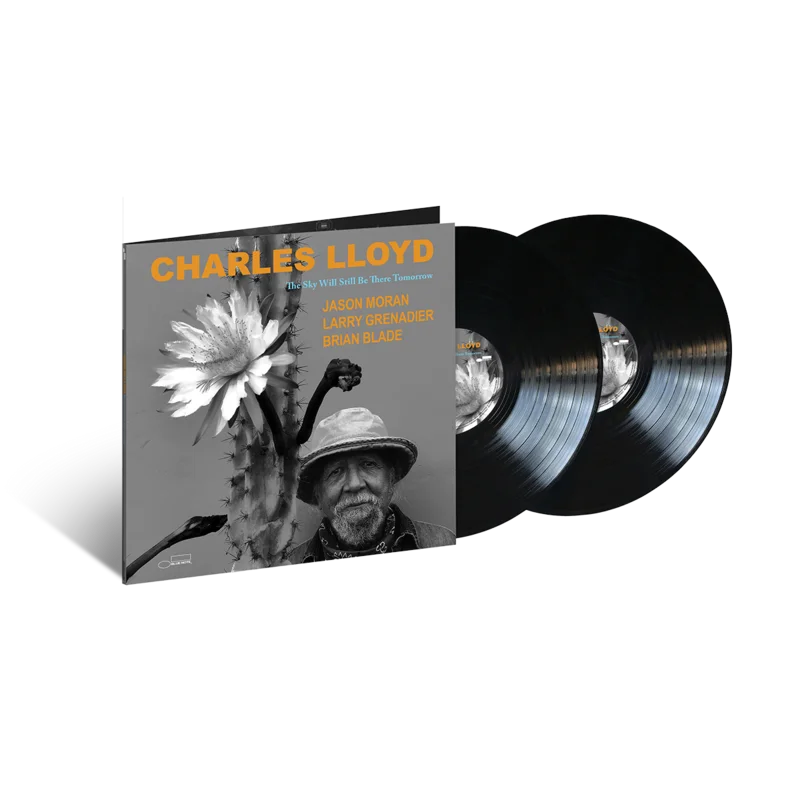 The Sky Will Still Be There Tomorrow: Vinyl 2LP