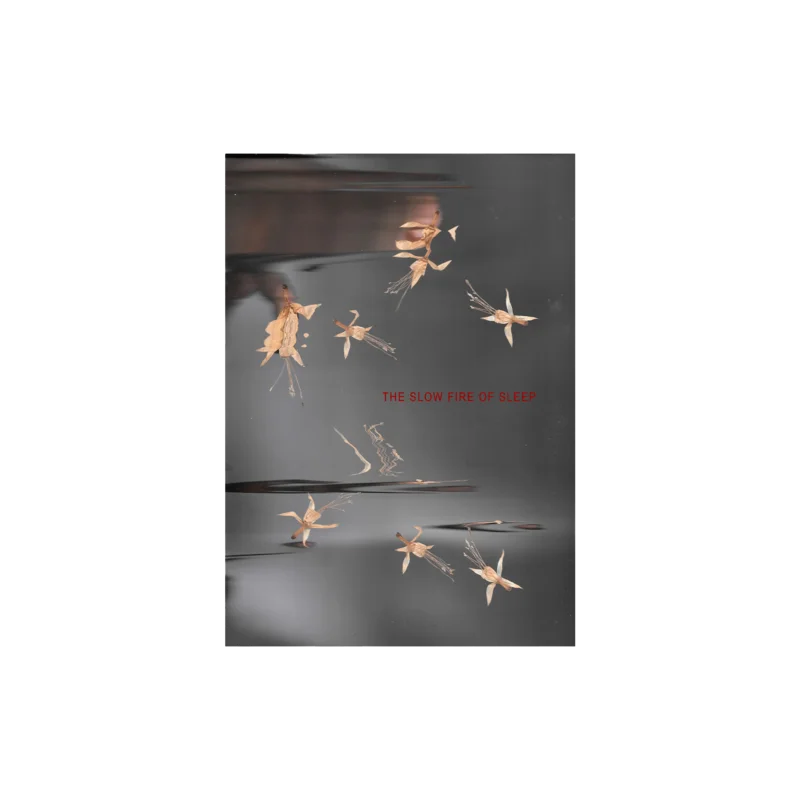 The Slow Fire Of Sleep - Lyric Zine