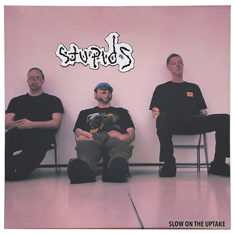 The Stupids: Slow on the Uptake 12"