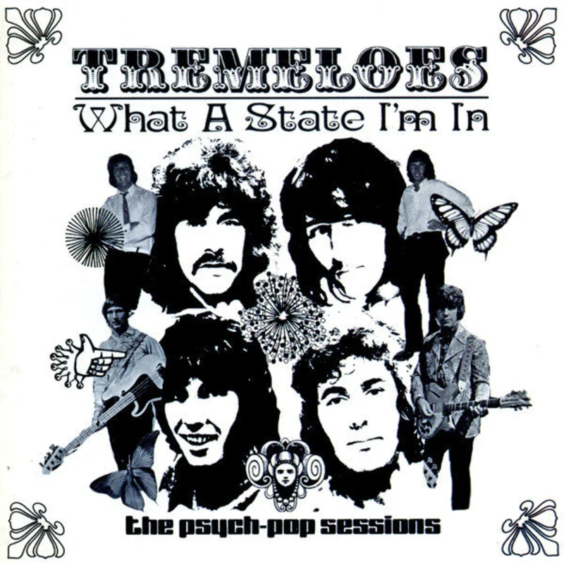 The Tremeloes: What A State I'm In CD