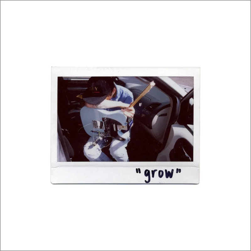 Thomas Fekete: Grow 12"