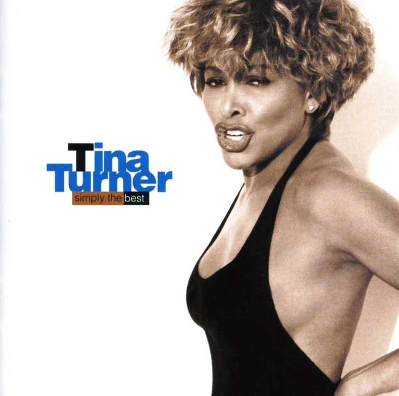 TINA TURNER - SIMPLY THE BEST - VINYL LP