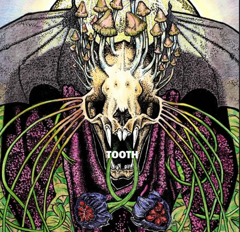 Tooth: S/T 12"