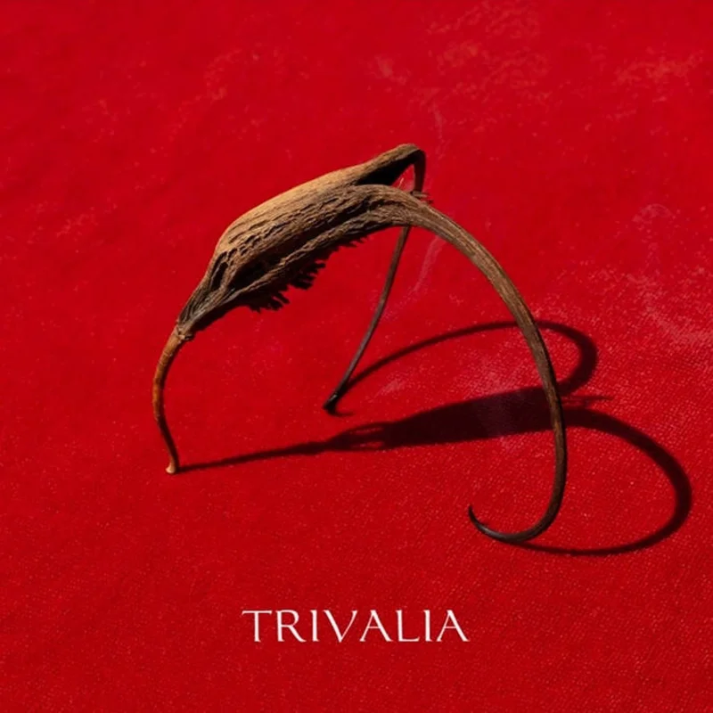 Trivalia: Crna Voda 12"