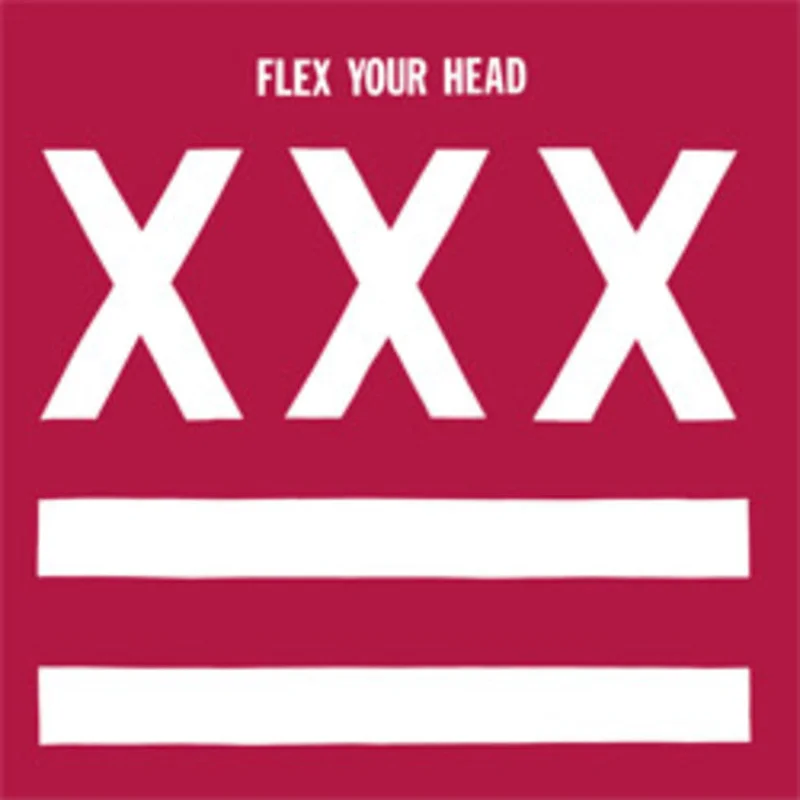 VARIOUS ARTISTS 'FLEX YOUR HEAD' LP (Legendary Dischord Records Comp: Minor Threat, More)