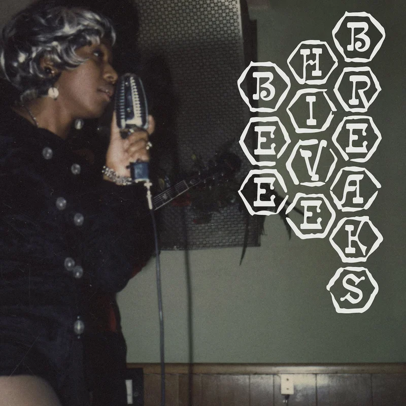 Various: Beehive Breaks 12"