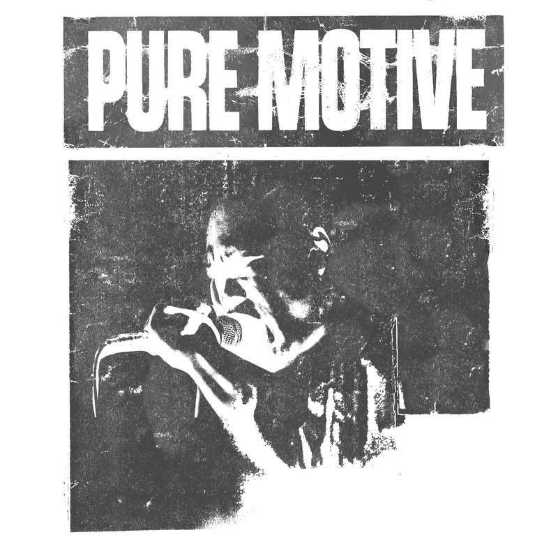 Various: Pure Motive International Straight Edge Compilation 12"