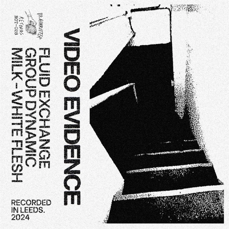 Video Evidence: Video Evidence II cassette