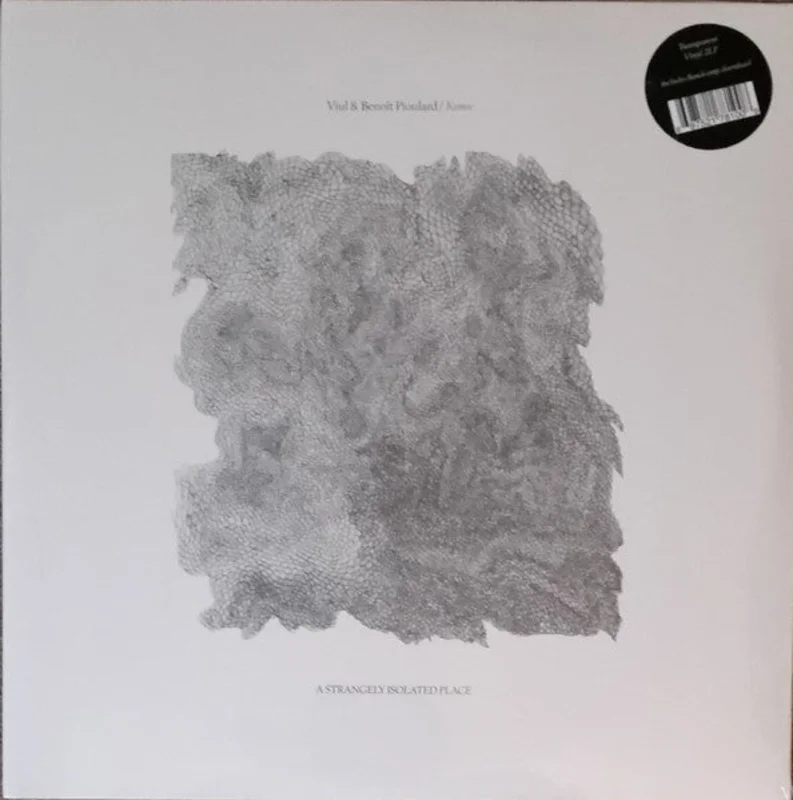 Viul & Benoit Pioulard: Konec 2x12"