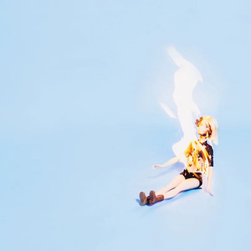 Well Wisher: This Is Fine 12"