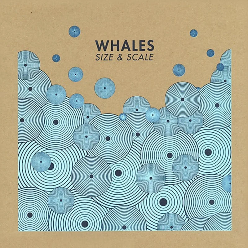 Whales: Size & Scale 12"