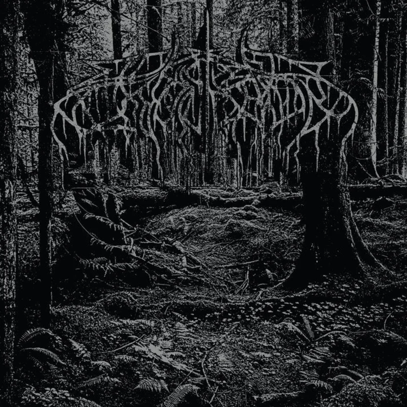 Wolves in the Throne Room: 2005 Demo 12"