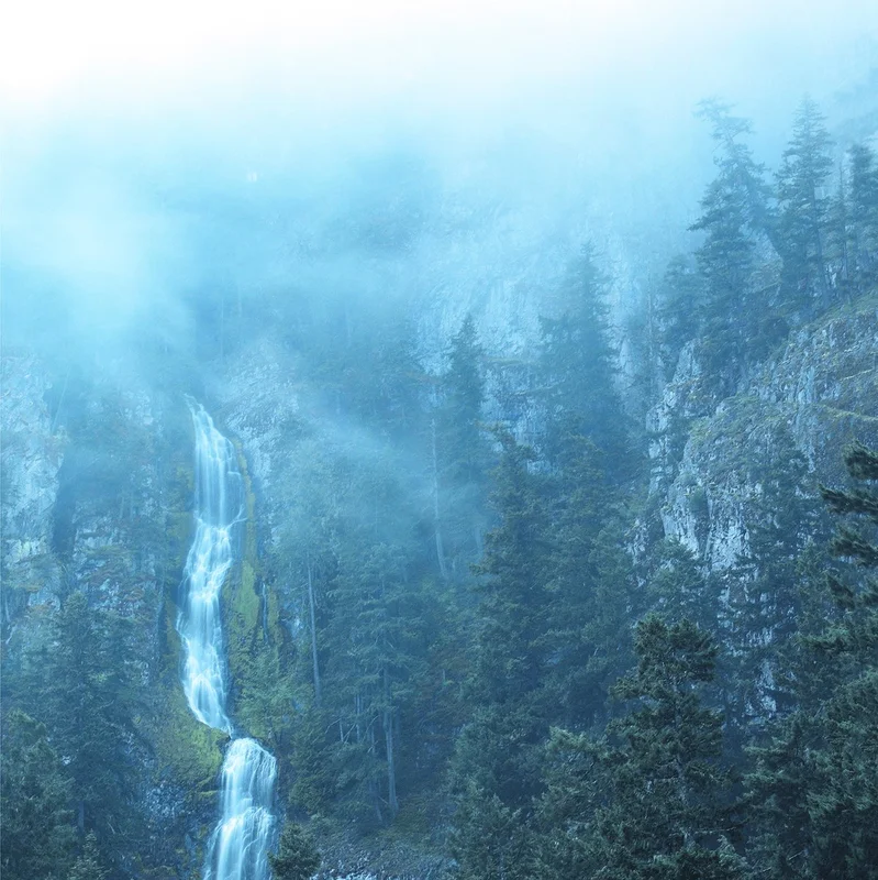 WOLVES IN THE THRONE ROOM 'DIADEM OF 12 STARS' 2xLP