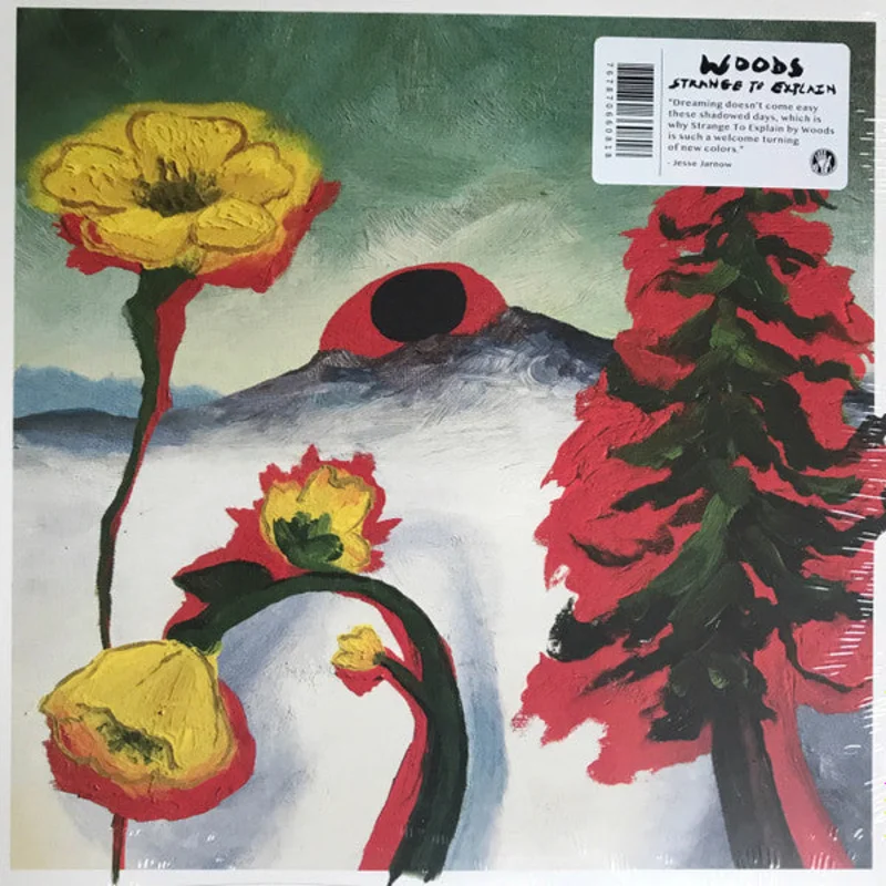 Woods: Strange to Explain 12"
