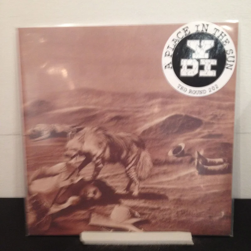 YDI: A Place In The Sun 7"