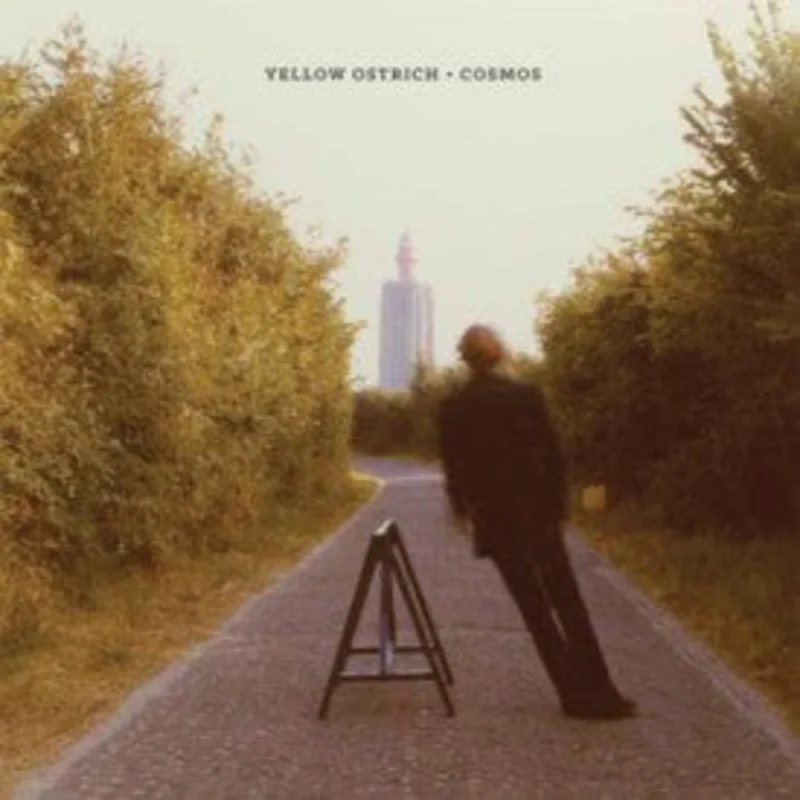 Yellow Ostrich: Cosmos 12"