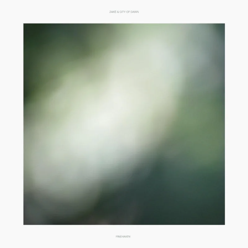 zak & City Of Dawn: Pinehaven 12"