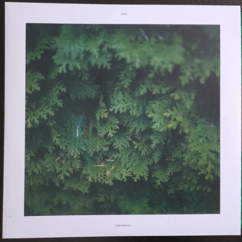 zak: Remembrance 2x12"